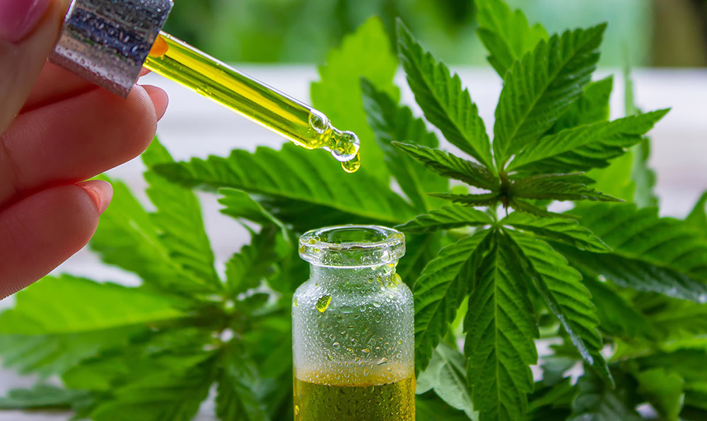 Cannabis als Medizin