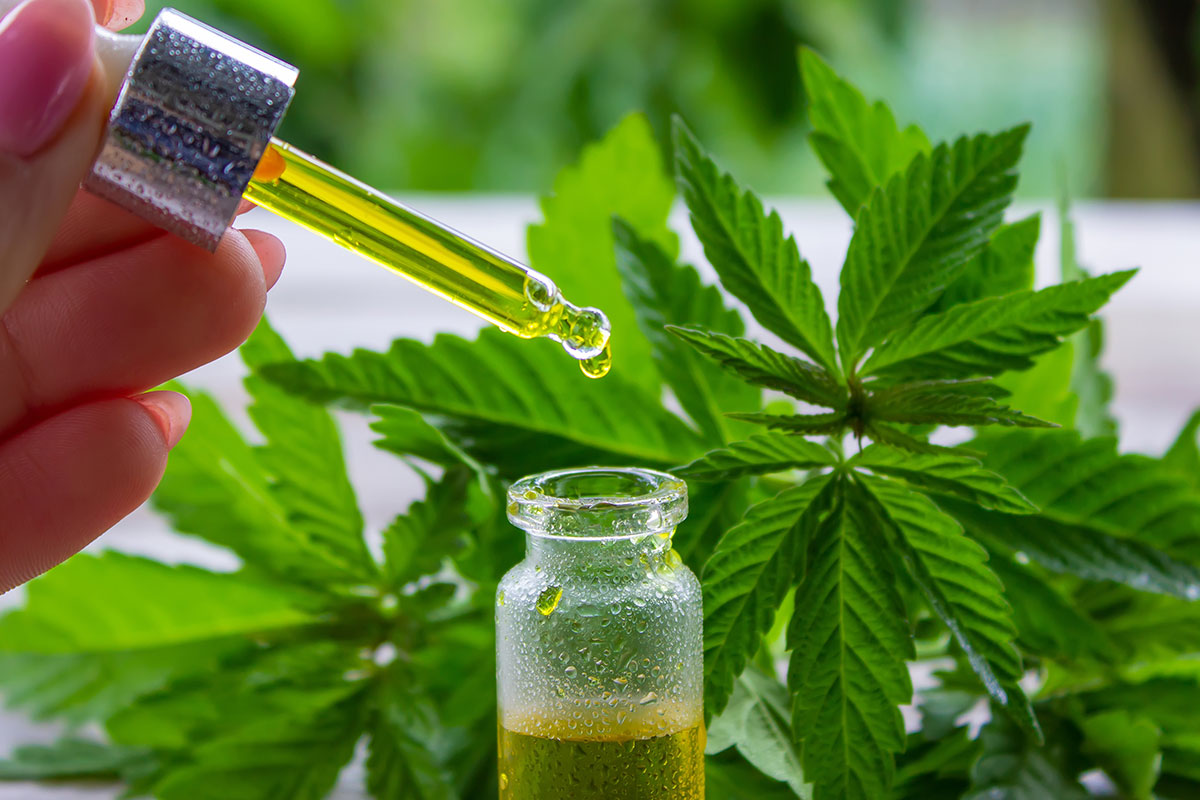 Cannabis als Medizin